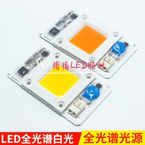 50W linear high-voltage driver-free light source 50W led full-spectrum white light full-spectrum light source