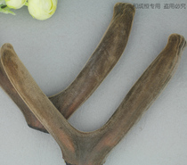 Whole branch 110 grams of two-bar stubble antler slices dry bubble water bubble wine authentic fresh powder Jilin Sika deer