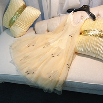 French elegant socialite temperament niche holiday sequin embroidery mesh skirt A- line dress high waist long skirt skirt