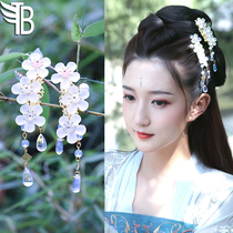 Hair accessories Ancient style headdress Ancient costume accessories Fringed walking Hanfu with hair accessories pair clip Ancient hairpin Princess girl