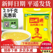 Shanxi Qinzhou brand Qinzhou yellow millet 5 catties 2020 new millet 2 5 kg millet porridge small yellow rice