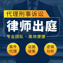 Lawyer online service legal consultation bail criminal defense criminal status case appearance penalty lawsuit