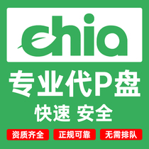 Chia generation P disk Chia generation P hard disk arable land generation P map business to undertake mechanical m 2 solid state disk unit price from 49 yuan