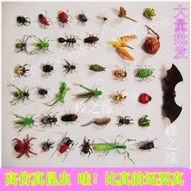  High simulation clay insect magnetic refrigerator stickers Animal ornaments Bee grasshopper Frog dragonfly model props Butterfly