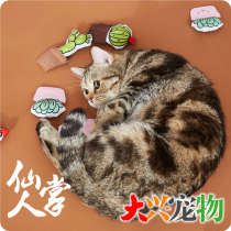 China fofofos two FOFOS velvet purse cat toy contains mint] cactus Gourmet Series