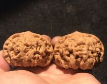 Juyou Yuanwen play letter under the large unicorn pattern Wild official hat lion head 53 special four building toad