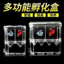 Peacock fish breeding box Tropical fish tank sub-acrylic isolation box Special large number of spawning maternity ward young fish fry incubators