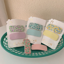 Farromantic Small Crumbles Hair Clip Side Summer Bb Clip Adorable Day Ensemble Girl Rectangular Candy Color Clips