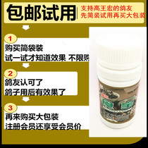 High King Macro Dove Medicine Love Pigeon Eating 120 Grain Racing Pigeon Letter Dove Birds Scysts Balloon Rise Qi and Accumulate High Wang Macro Food Treasure