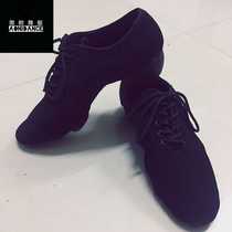 Arrogant teacher shoes Latin dance practice Oxford cloth dance shoes especially comfortable wear-resistant and non-slip