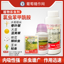  DuPont Kangkuan Chlorpyrifos Benzamide Fumeishi Rice vegetable leaf borer Borer pesticide Insecticide