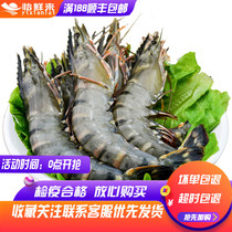 Yi Xian Lai live frozen Vietnamese black tiger shrimp 12-16 boxed barbecue shrimp grass shrimp spotted shrimp tiger shrimp