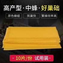 (Bee big brother)In the hive base bee nest spleen standard beehive special nest base tablet trial pack 2021 new product