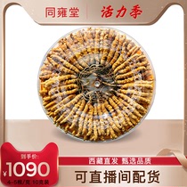 Tibet Naqu Cordyceps Flagship Store Natural Dried Cordyceps 10g (45 pieces)