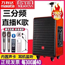 Vanlida Small Flying Sky Three Frequency Division Sound Outdoor High Power Mesh Red Band Sound Card Live K Song Square Dance Speaker