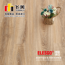 Feimei flooring flagship store imported laminate flooring special clearance model German original imported wood floor