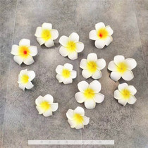 Frangipani glasses shop counter decoration props Glasses display props ornaments photo photography background props