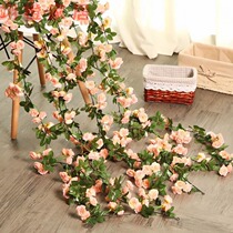 Garland rose rose wedding decoration Magnolia plastic vines simulation champagne color fake flower Vine plastic