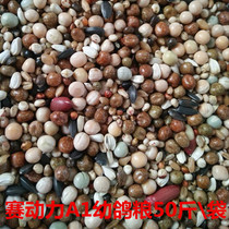 Race Power Dove Grain 1A Young Pigeon A1 Feed Without Corn Racing Pigeon Viewing Dove Small Pigeon Breeding for 50 kilos