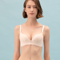 LAEMAYNY beautiful women in underwear without steel rings breath comfort and thin anti-skid bra against drooping