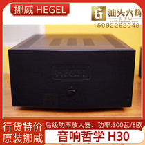 Norway HEGEL audio philosophy H30 flagship power amplifier fever audio HIFI rear stage Hegel 30