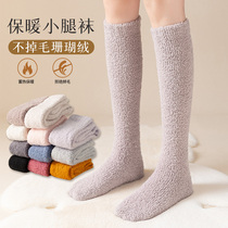 Coral velvet calf socks womens autumn and winter thickening and velvet high socks home long tube warm confinement sleep stockings