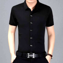 Long-sleeved cotton slim-fit non-ironing shirt mens business casual elastic outer wear shirt bright professional solid color button boutique inch shirt