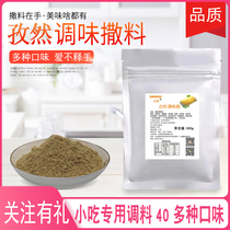 Zyin Powder Barbecue Seasoning iron plate Squid Brush Stock Fried Grilled Meat Dip Chicken Xenophobic powder Sardinese