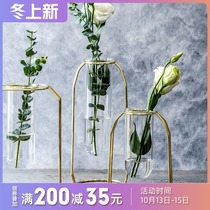 Nordic creative metal glass bottle holder hanging water cultivation bottle home living room dried flower arrangement ornament ornaments