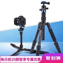 Bano if19 SLR camera tripod travel portable outdoor micro single photography mobile phone triangle tripod stand hot sale