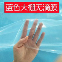 Agricultural Vegetable Greenhouse Membrane Blue No Drip Film Transparent Thickening Plastic Thin Cloth Membrane Po Membrane cultured planting Anti-cold insulation