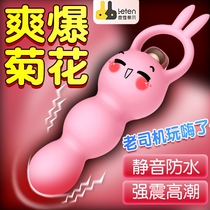 Spice Supplies Flirting woman with anal plug Divine Instrumental Instrumental Rear Vestibule Anal Tail Raveball Jumping Egg Toy Adults