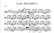 (232) Zhuang Xinyan-Goodbye is just a stranger to a jazz drum jazz drum spectrum