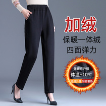 Middle Aged Mom Pants 2021 New Autumn Winter Plus Suede Thickened Outwear Cotton Pants High Waist Loose Big Code Winter