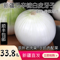 (Origin straight hair) Xinjiang skin teeth are not spicy white onions fresh vegetables eaten raw cold whole box 5kg