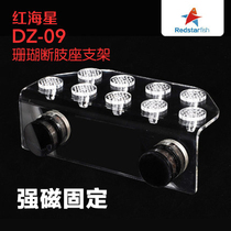 Red Sea star broken limb frame SPS broken branch seat Button broken branch base Strong magnetic fish tank Coral base