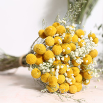 Dried flower bouquet real flower Golden Ball Golden Hammer flower star eternal Eucalyptus Eucalyptus leaf Net red home decoration ornaments