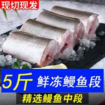5 catty Frozen Sea Eel Middle Section Large Section Fresh Eel Block Deep Marine Fish Fresh Sea Manfish