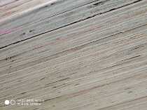 Shenzhen 15 CT plywood thick core multi-layer plywood physical store