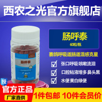 Xinong Light Pigeon Medicine Intestinal Khutai 60 Capsules Pigeon Pigeon Medicine Intestinal Respiratory Potion Green Diarrhea