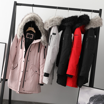  64 pieces of American D-edge reader details good quality praise warm medium and long hooded cotton jacket