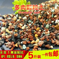 Planting Maifan stone Green dill color stone Mixed mulch Flower cultivation Pottery Multi-purpose garden fleshy particles Soil iridescent stone