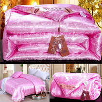 Silk quilt winter quilt winter quilt cotton quilt core warm special clearance single double quilt silk cotton quilt