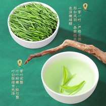 Anji Baitea 2022 New tea Zhengzong High-end Bright Front Special Green Tea Rare White Tea Bulk 250g Trade-offs