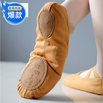 Clearance lace up Danshigo soft sole dance shoes practice shoes adult cat claw shoes children girls body ballet dance shoes