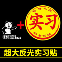 Novice on the road female driver plus-size internship oversized extra-large internship logo large net red car sticker creative decoration