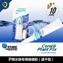 P Brand Glue alongfa underwater adhesive coral glue water Family Glue quick-drying gel glue sticky Bone Button