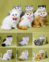 Simulation animal cat models will be called Cat dolls kittens childrens animal plush toys cute cat dolls