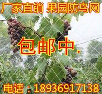 Transparent net Orchard anti-bird net Grape anti-bird net Poultry net Breeding net net Nylon net protective net