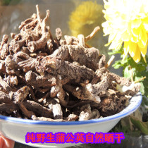 2020 new goods Daxinganling pure wild dandelion root dry goods 500g Po